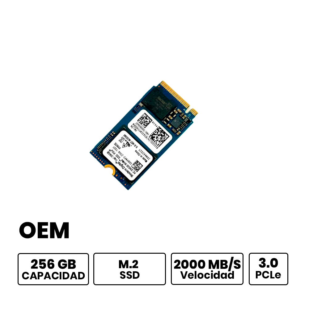 OEMSSD256GB
